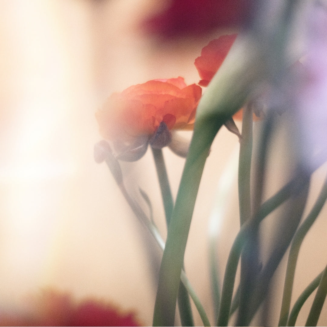 Les erreurs à éviter pour un bien entretenir sa perruque