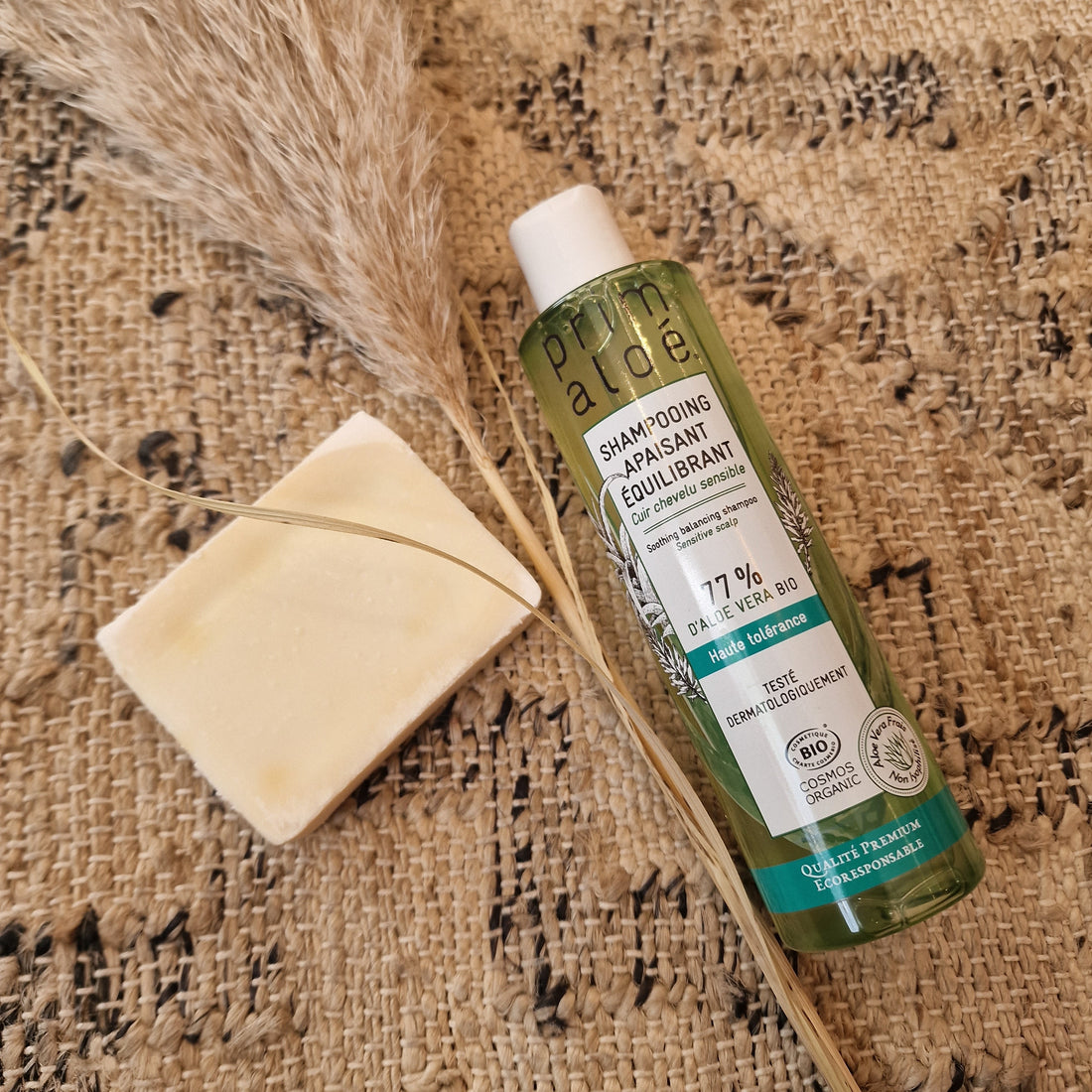 Hydrater sa peau fragilisée et soulager les brulures de chimiothérapie avec l'Aloe vera