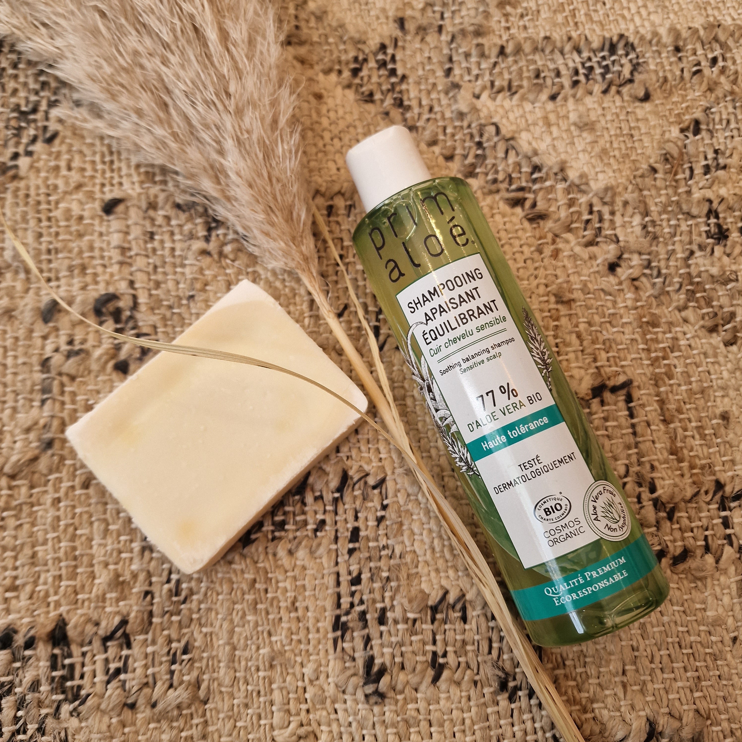 Hydrater sa peau fragilisée et soulager les brulures de chimiothérapie avec l'Aloe vera