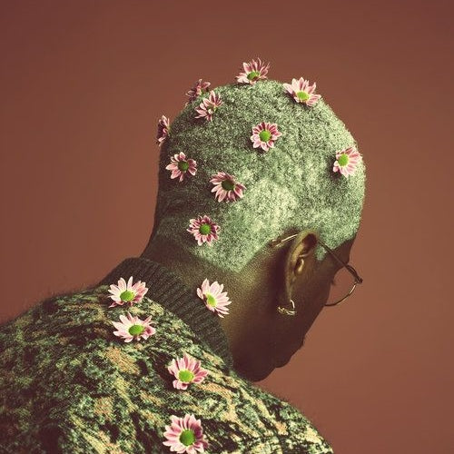 Accélérer la repousse des cheveux - Bahan Paris