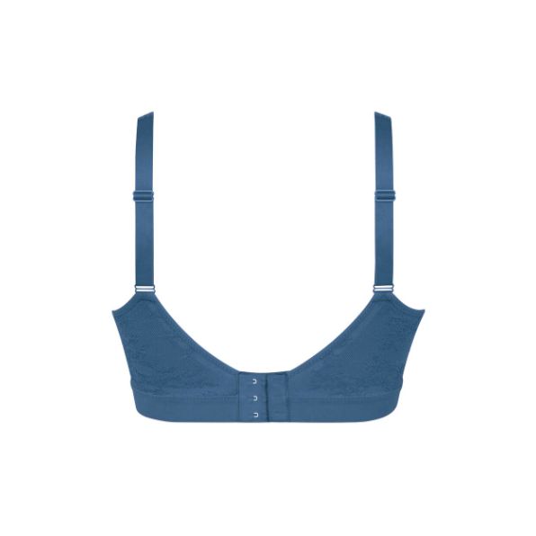 Brassière  Essential Lace Blue Heaven